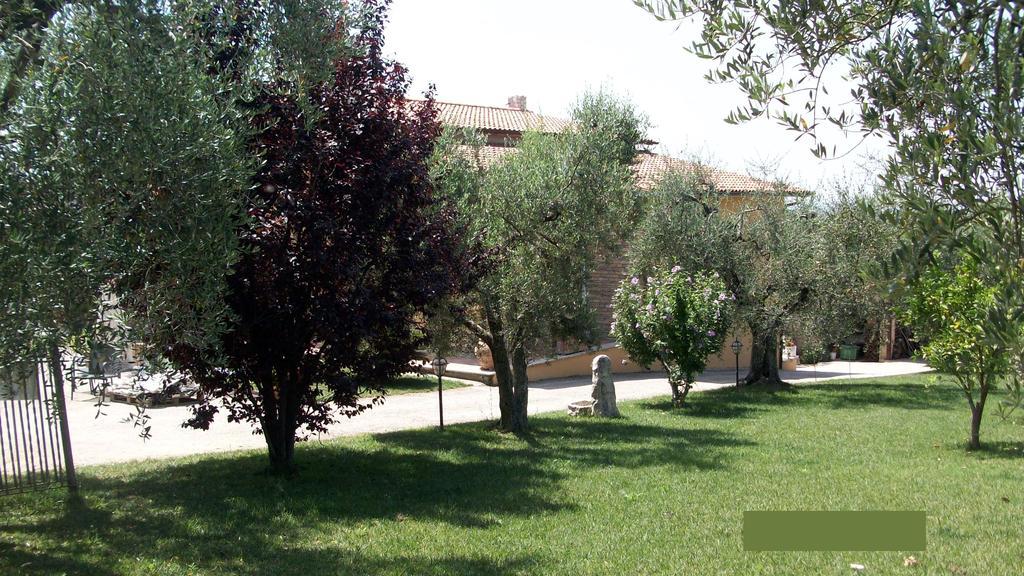 Il Giardino Degli Ulivi Canneto (Lazio) Exterior foto