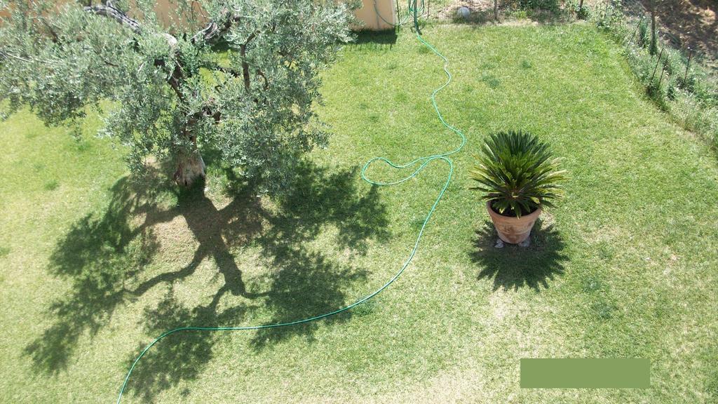 Il Giardino Degli Ulivi Canneto (Lazio) Exterior foto